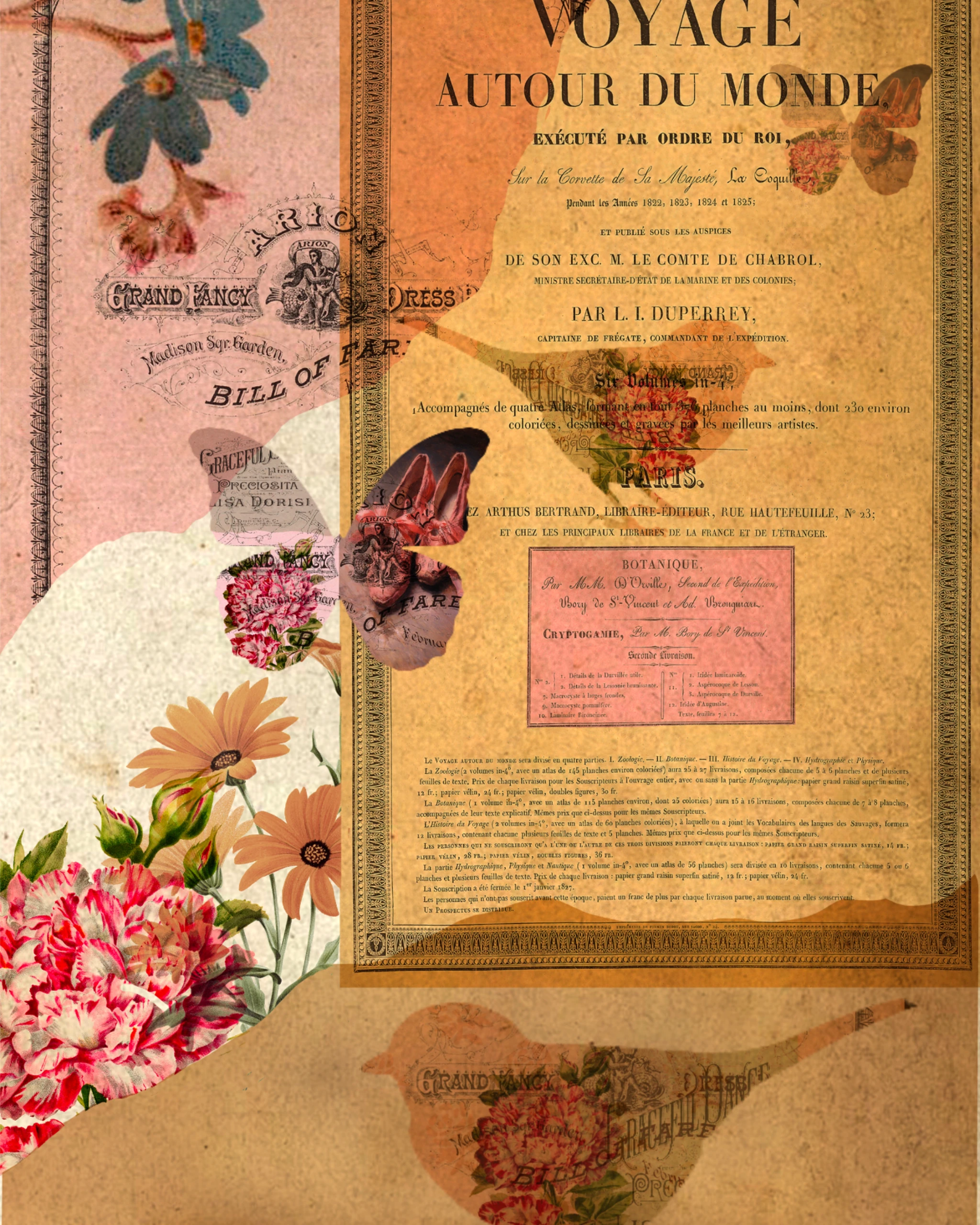 Collage of vintage botanical prints, French travel papers and ephemera