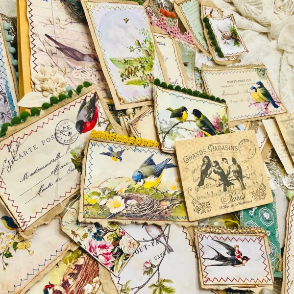 Vintage Bird-Themed Ephemera Pack – 100 Pieces for Junk Journals Ephemera Packs Trinketz 7