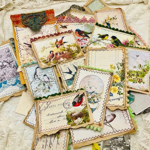 Vintage Bird-Themed Ephemera Pack – 100 Pieces for Junk Journals Ephemera Packs Trinketz 12